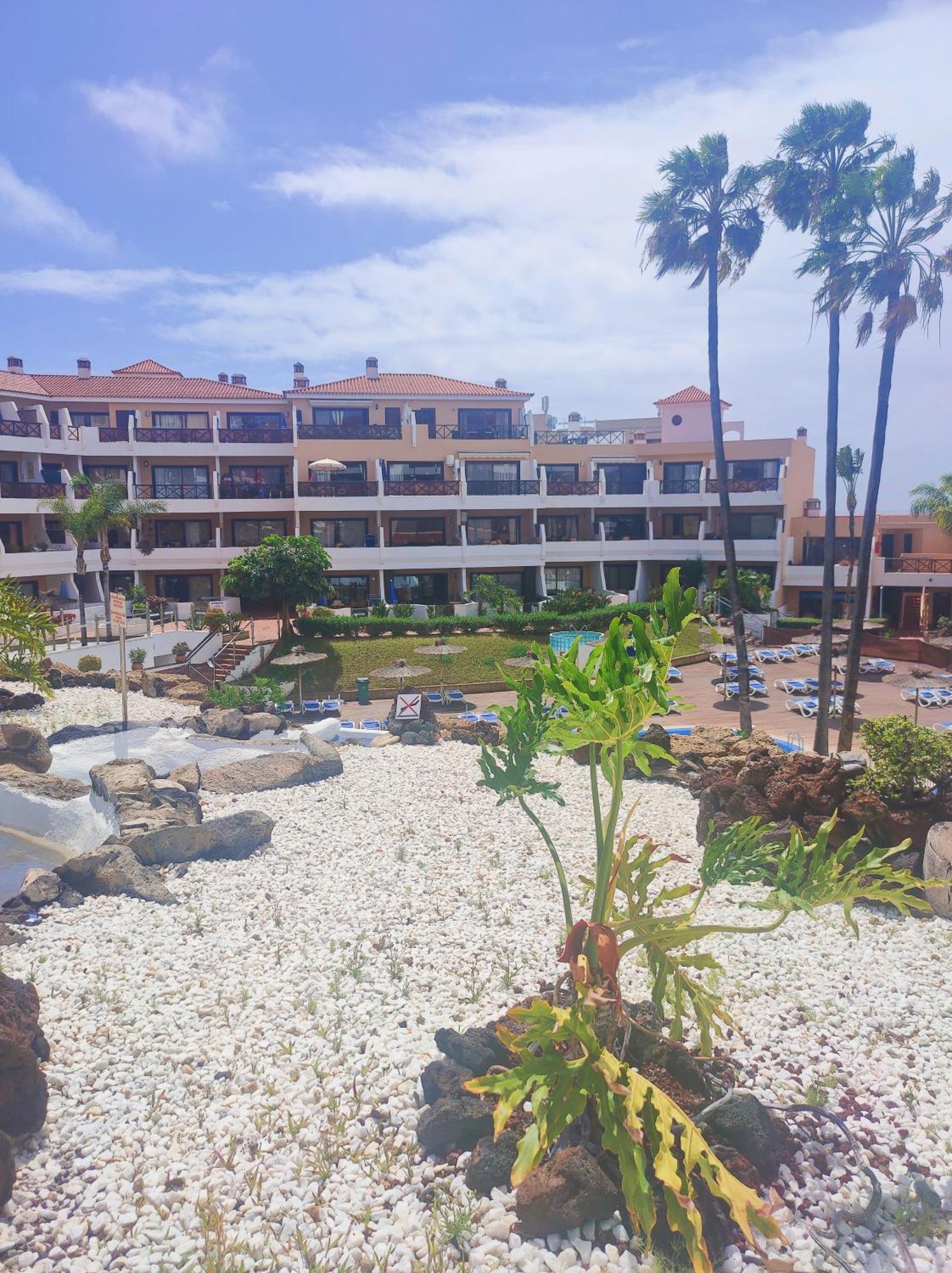 Lovely Apartment Top Views, Heated Pool, Great Location San Miguel de Abona Kültér fotó